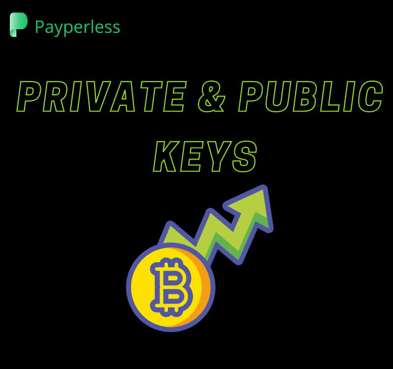 Private and Public Keys in Crypto